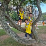 IMG-20251122-WA0081